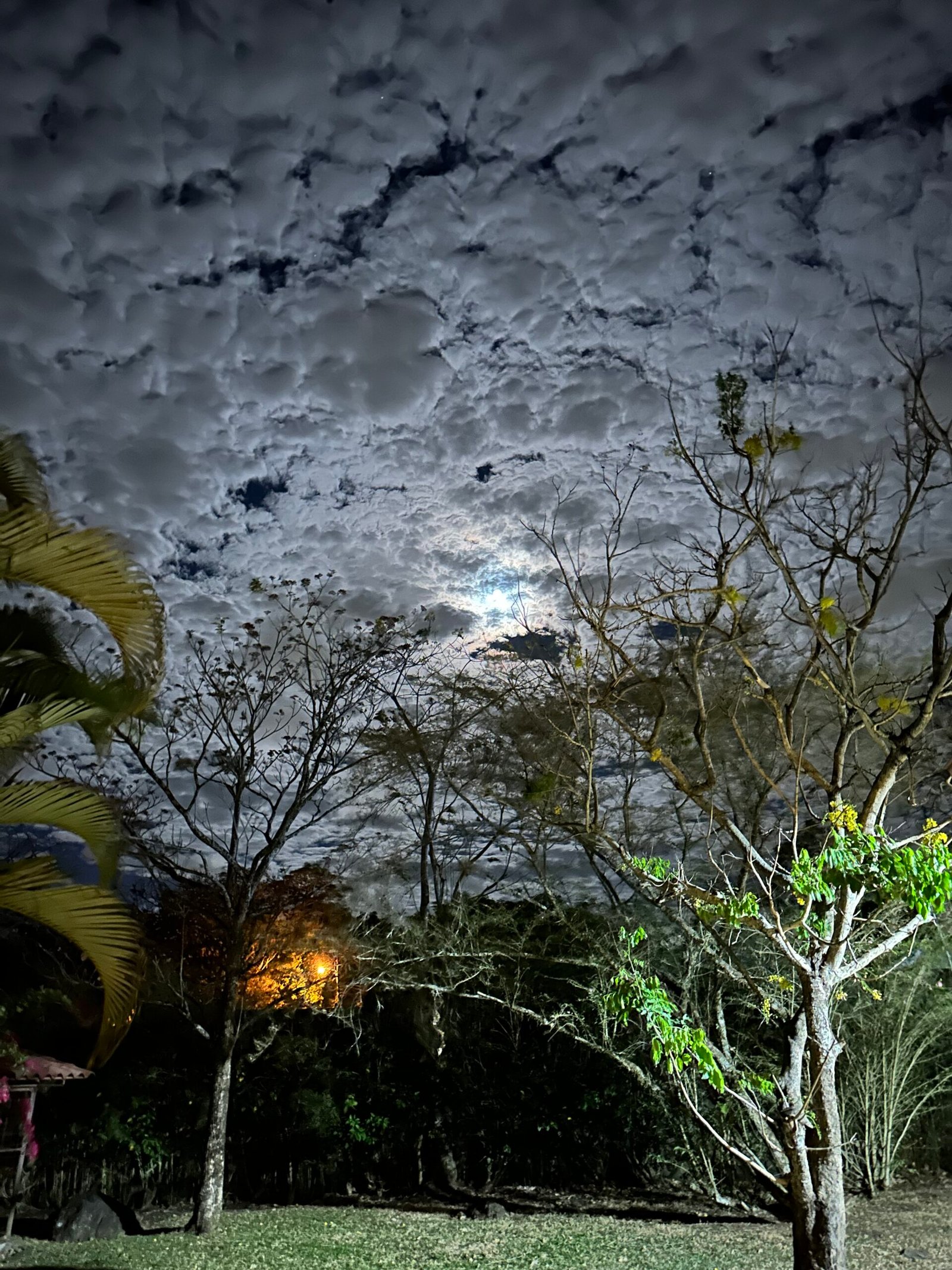 cloudy night sky
